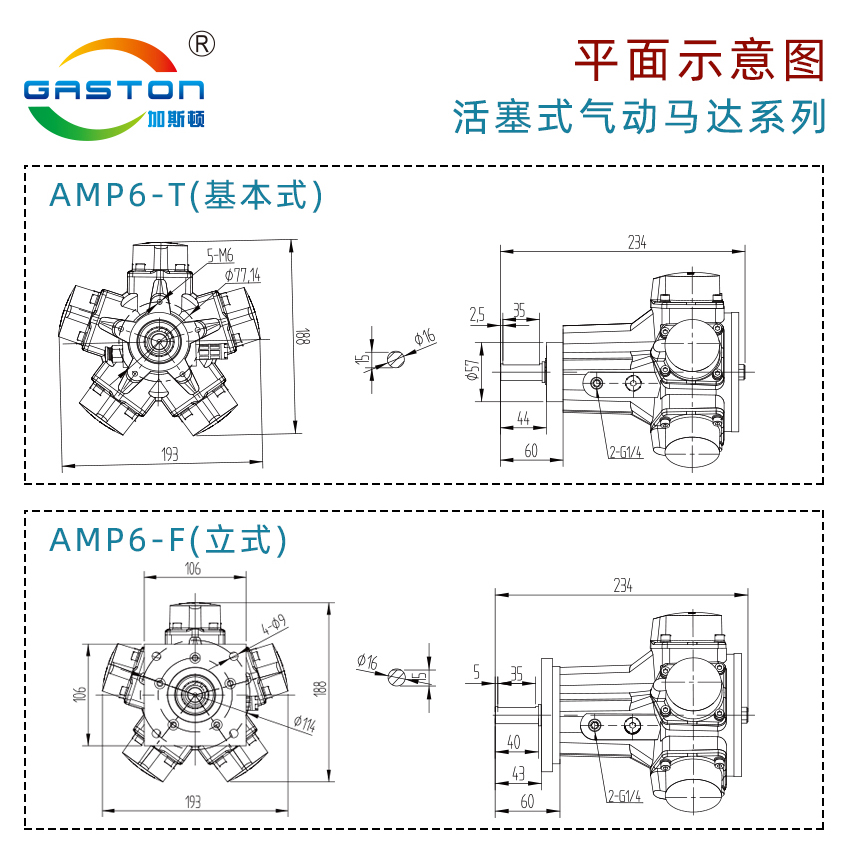 AMP6-T_14.jpg